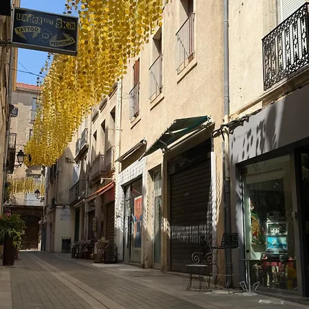 Duplex De Charme 80 M2 - 4e Etage- Dans Le Centre Historique Pieton Béziers