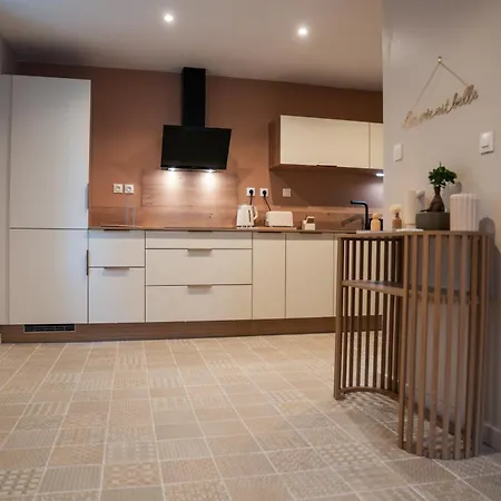 Duplex De Charme 80 M2 - 4e Etage- Dans Le Centre Historique Pieton * Béziers